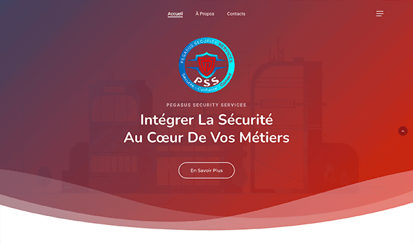 pegasus-security-1